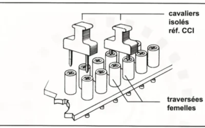 Traversées femelles